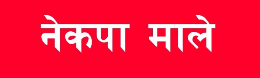 नागरिकता ऐनका केही विषय राष्ट्रिय हित विपरित: माले