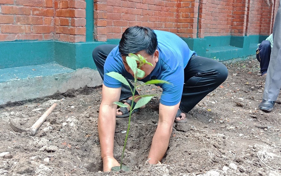 उपराष्ट्रपतिले रोपे १६ प्रजातीका विरुवा