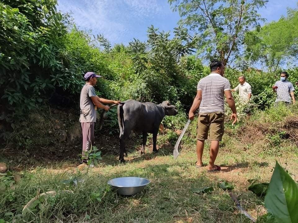 बलि हान्ने राँगो भागेर महिलालाई आक्रमण