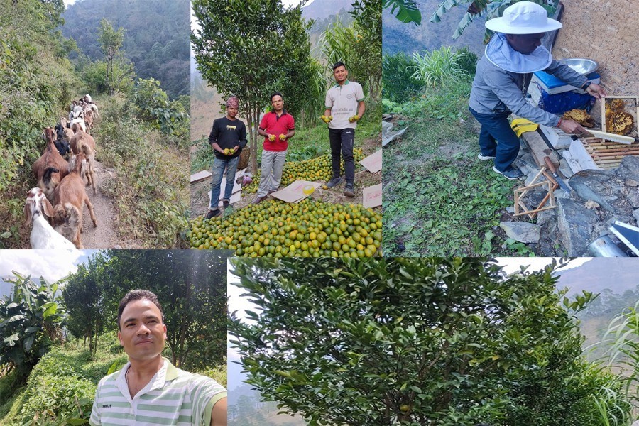 हातमा पासपोर्ट र भिजा बोक्नेहरुको बिचमा कृषि अङ्गालेका  प्रताप शाही