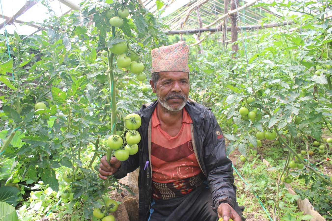 आर्थिक विकासका लागि कृषिमा  उल्लेखनीय काम