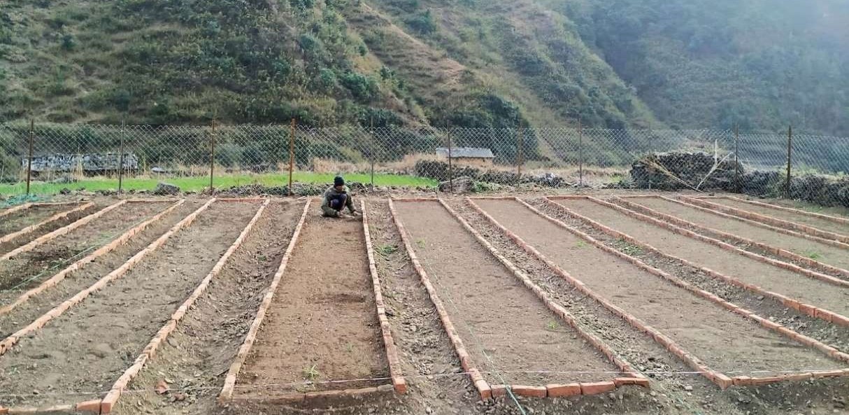 लुकुममा नर्सरी स्थापना, बार्षिक ४० हजार बिरुवा उत्पादन हुने