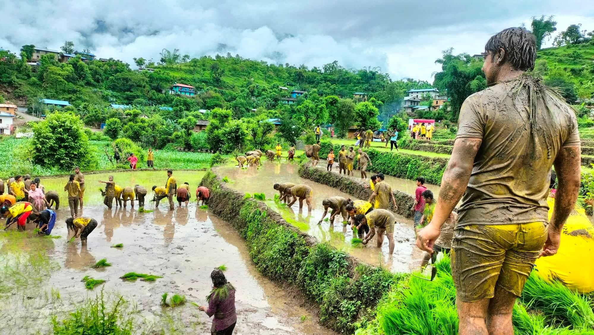 रुकुम पूर्वमा उत्साहका साथ मनाईयो धान दिवस (फोटो फिचर)