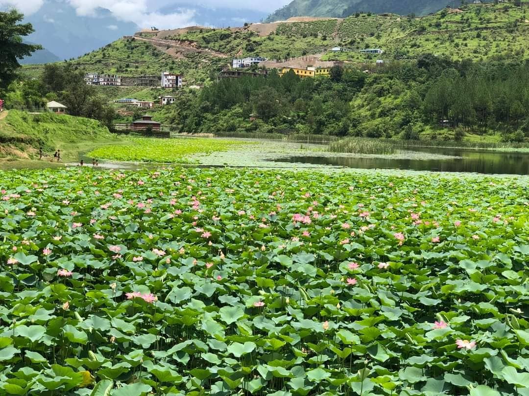 कमलदहमा डुबेर एक पुरुषको मृत्यु