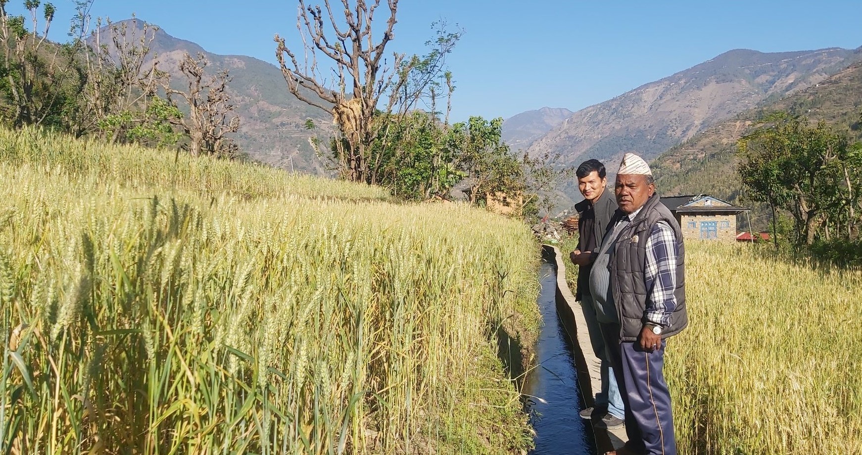 डाँडागाउँमा ३८ वर्षमा बन्यो साढे सात किलोमिटर नहर