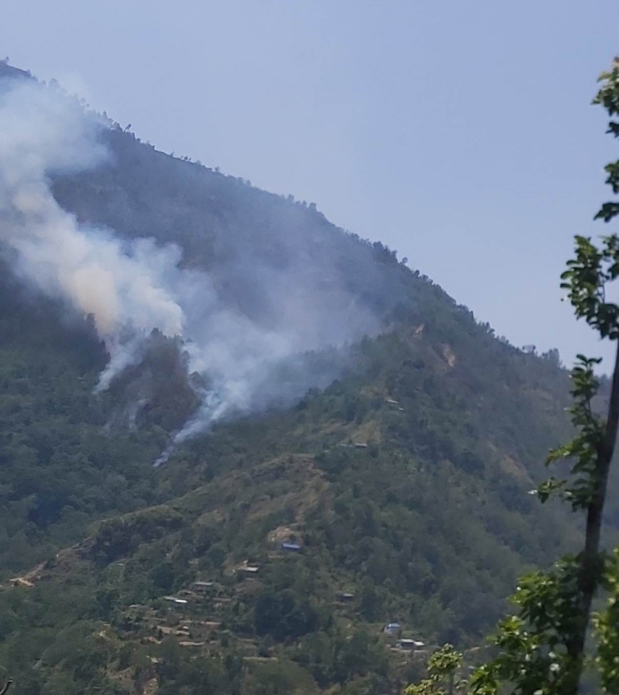 आगजनीले पोखरी पातल सामुदायीक वन पुर्ण रुपमा क्षति