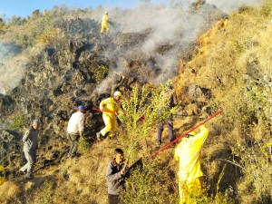 मुसिकोटको सामुदायिक वनमा डढेलो लाग्दा चार सय विरुवामा क्षती