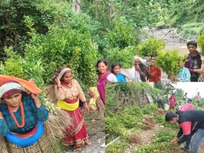 बाँफिकोटमा १८ हजार बढी फलफूलका विरुवा रोपिए