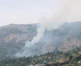 सल्लेमा लागेको आगो निभाउने क्रममा एक महिला घाईते