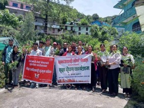 समाजवादी मोर्चाद्वारा राजमार्गको छेउमा वृक्षारोपण