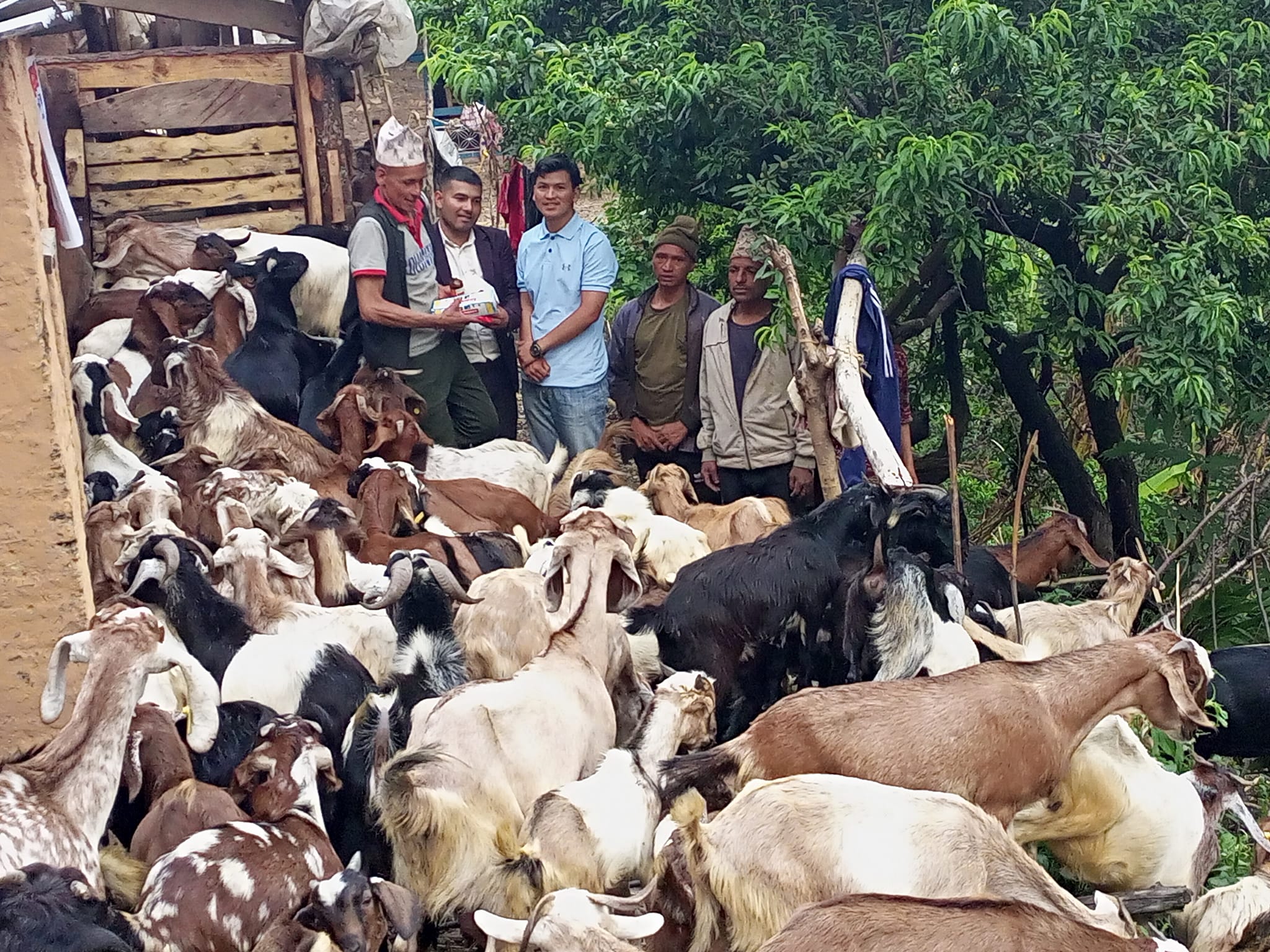 स्थापना दिवसको अवसरमा निशुल्क औषधि वितरण