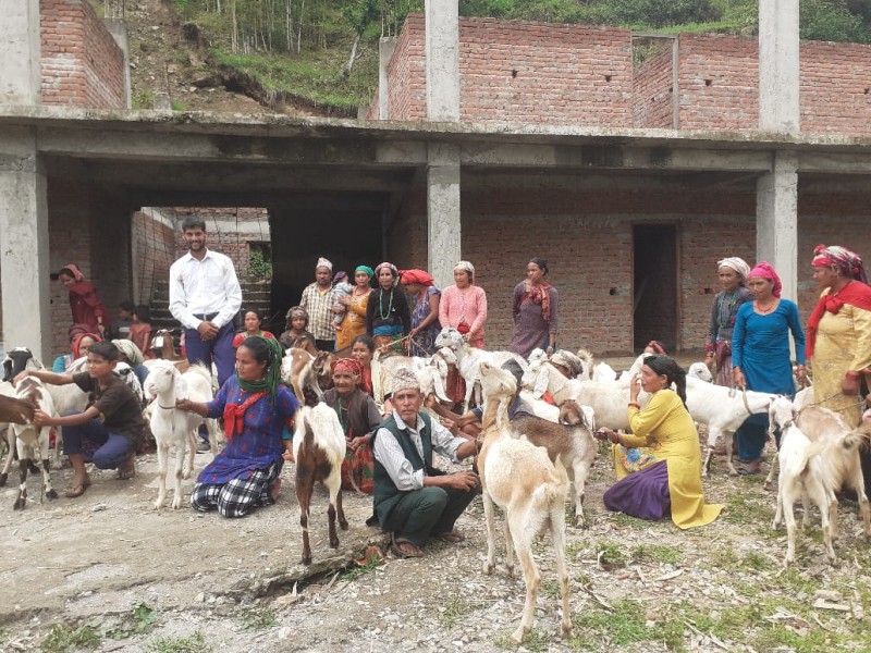 पोषणमा सुधार ल्याउन दलित बस्तीमा बाख्रा वितरण 