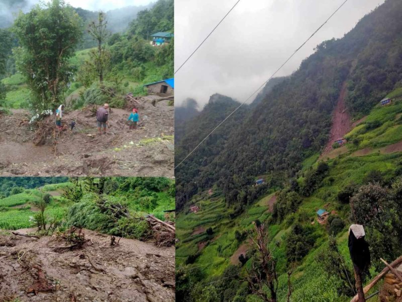 मुसिकोट ८ लसुनबारीमा पहिरोले दुई परिवार बिस्थापित