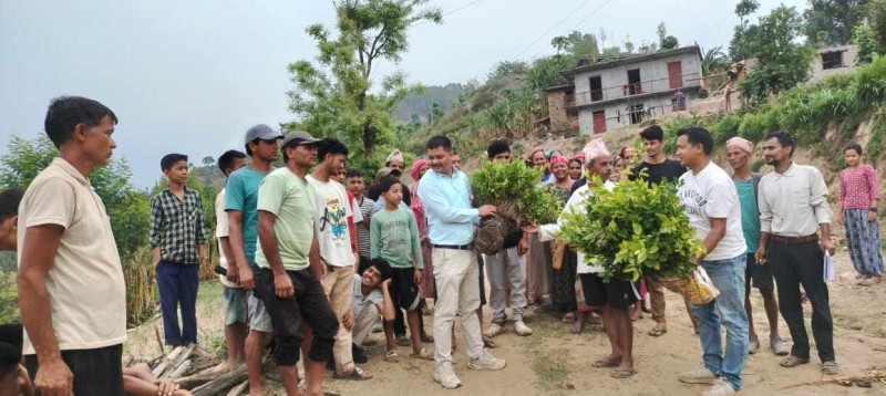 रास्वपा स्थापना दिवसको अवसरमा रुकुममा बिरुवा वितरण