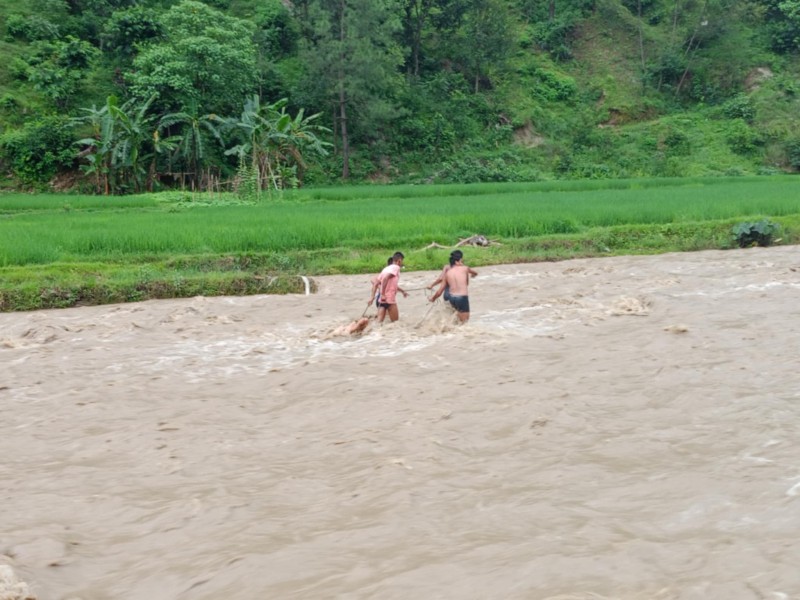 चुनाखोलाले बगाएका पुरुषको शव बाउनचौरमा फेला 